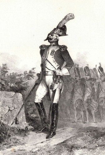 Costume empire militaria - empire,