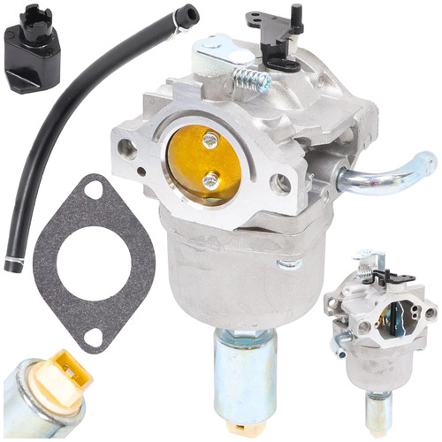 Carburateur pour moteur briggs - pour,