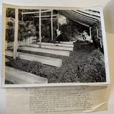 WWII USIS Photo Electric Hay