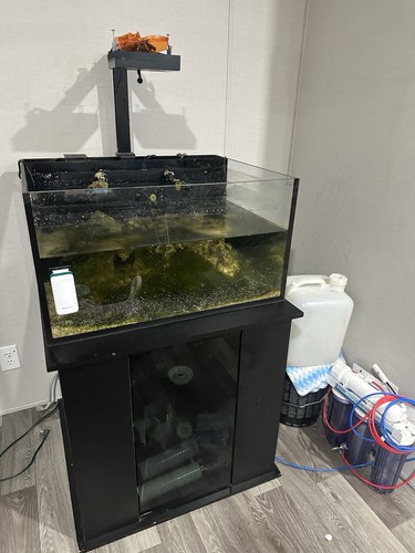 Sell tank aquarium - tank,