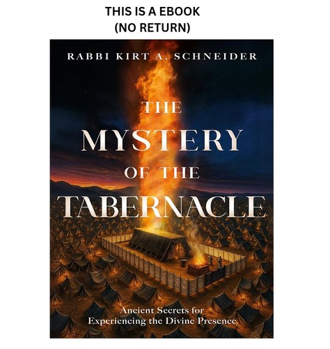 Rabbi kirt schneider the - rabbi,