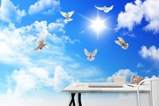 Papier peint 3D colombe nuage