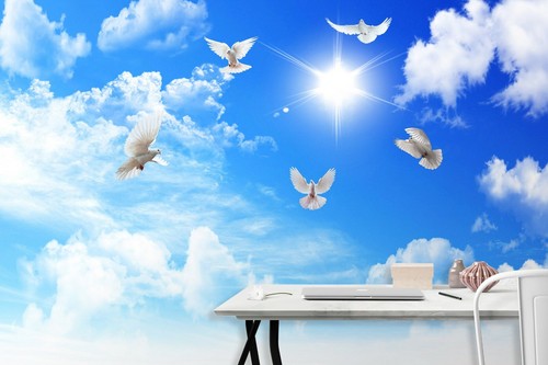 Papier peint colombe nuage - peint,