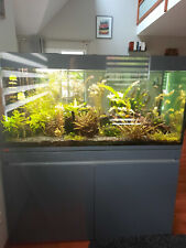 Aquarium 400 l sur meuble et