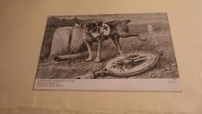 1915.chien ambulancier .croix