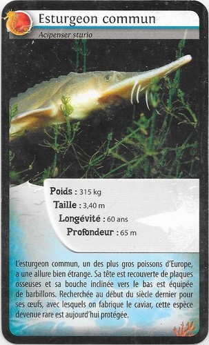 Carte super bioviva - super,