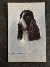 ILLUSTRATED CP SIGNED DOG PORTRAIT - 59597