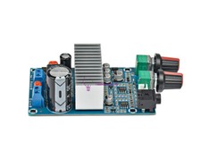 DC12-24V TPA3116 Subwoofer