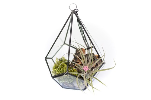 Glass diamond diy terrarium - diamond,