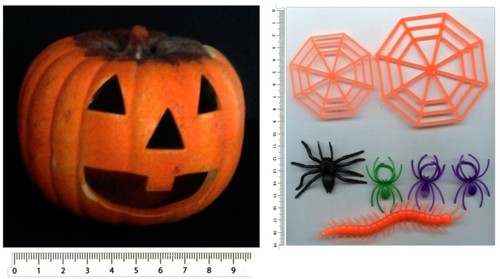 Citrouille halloween en - de,