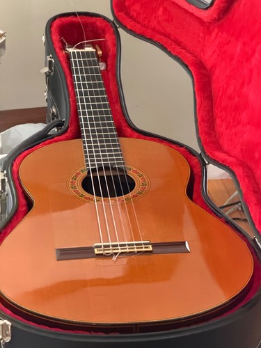 Francisco barba flamenco - francisco,