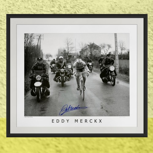 Eddy merckx signed - merckx,