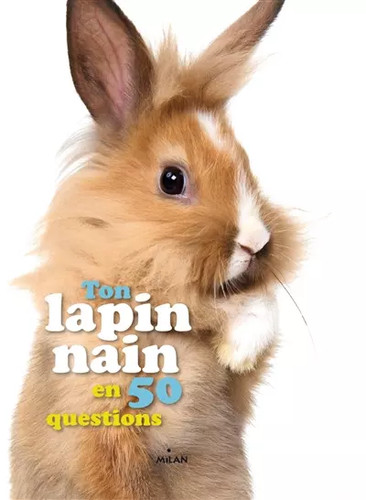 Ton lapin nain 50 - lapin,