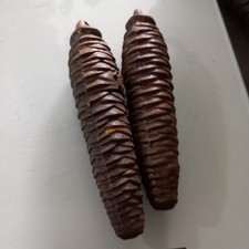 lot de 2 poids pomme de pin