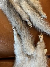 Etole Echarpe En Fourrure