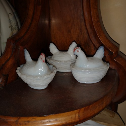 Petites poules opaline - poules, en