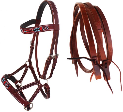 Horse brown leather - horse,