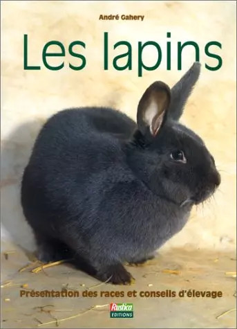 Les lapins présentation des - lapins.,