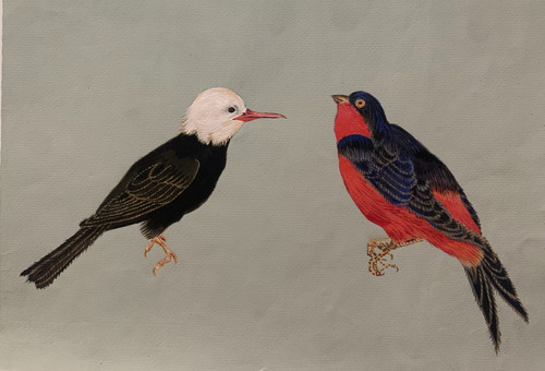 Superbe dessin gouache - dessin,