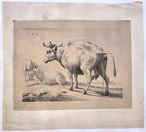 Karel carel dujardin - karel,