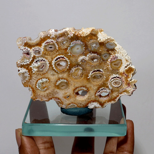 Ancienne dalle corail de - de,