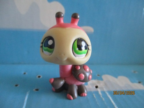 Petshop coccinelle 1264 - petshop,