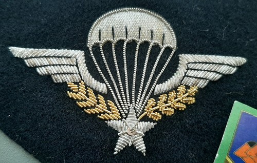 Superbe brevet parachutiste - brevet,