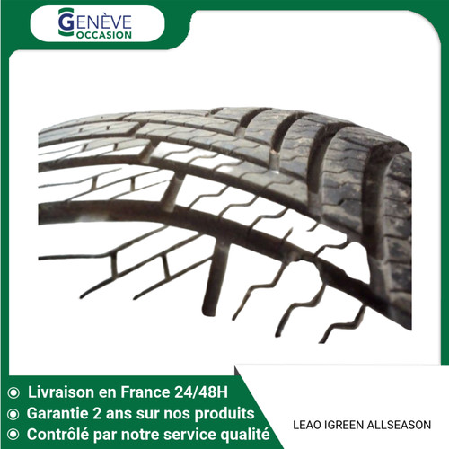 Pneu leao igreen - 🇫🇷,