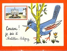 CHATILLON-COLIGNY (45) CPSM " COUCOU DE L' OISEAU " 