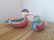 2 canards mandarins en