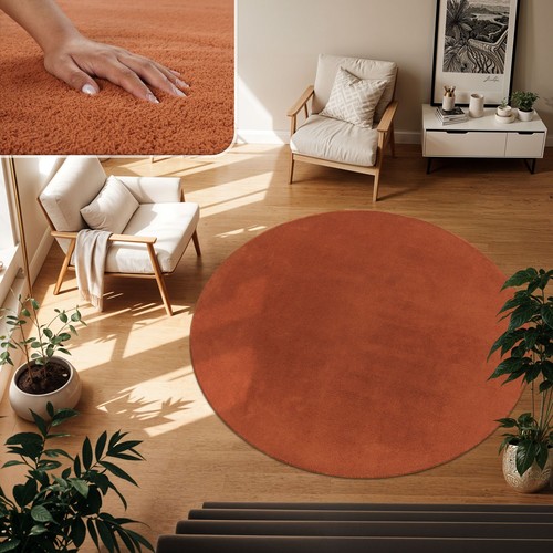 Tapis poil ras salon - tapis,