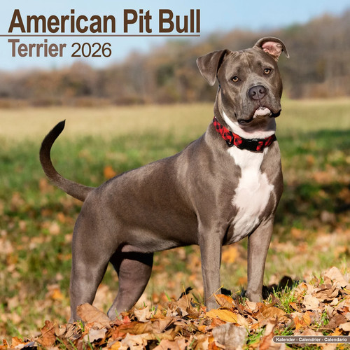 Calendrier 2026 american - 2026,