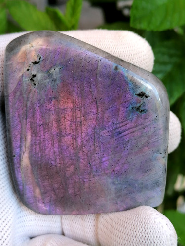 Labradorite forme libre - , polie