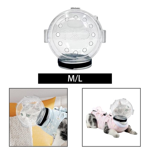 Muselière transparente