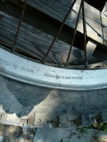 Cerchio borrani record - ,