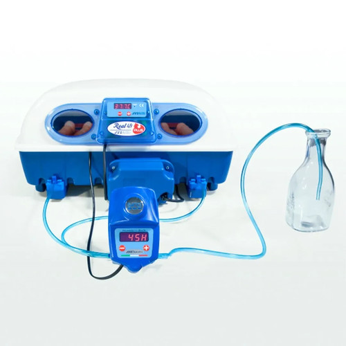 Borotto real plus expert - borotto, 49