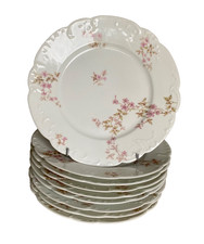 Service de 9 ASSIETTES Porcelaine HAVILAND Limoges Fleurs
