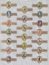 Série bague de cigare Cigare