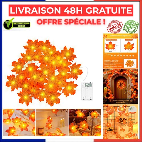 Guirlande lumineuse automne - guirlande,