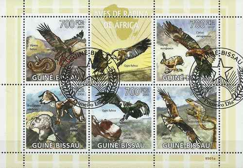 Timbres oiseaux rapaces - oiseaux,