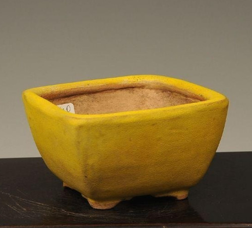 Pot bonsaï japonais kimiko - pot, à