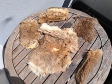Lot de 5 peaux de lapin #4