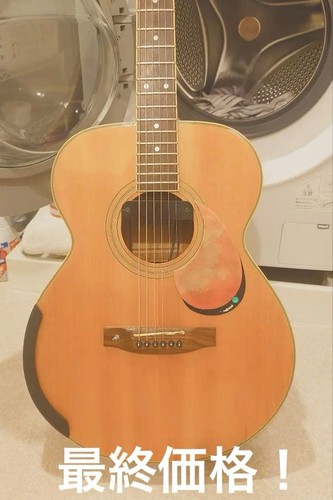 Very rare walden electric - rare,