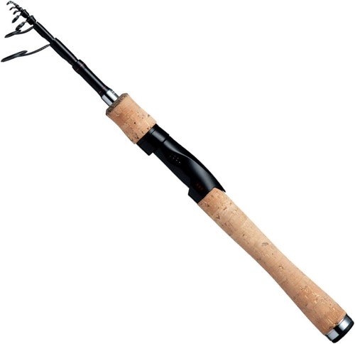 Canne bain daiwa spinning - canne,