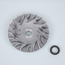 Joue fixe variateur Malossi