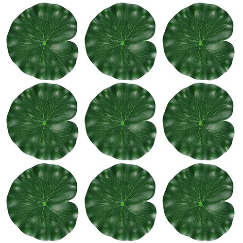 Plante flottante étang - flottante, d'étang