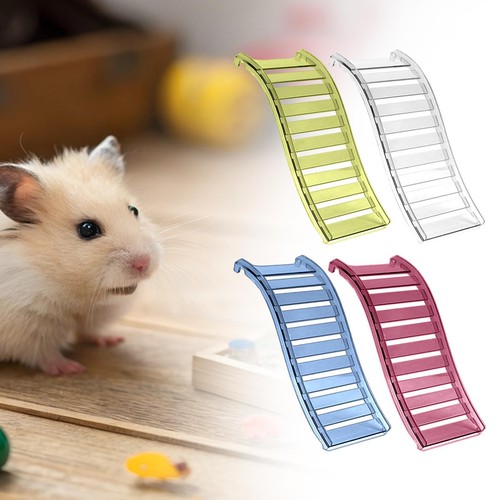 échelle pour hamster - pour,