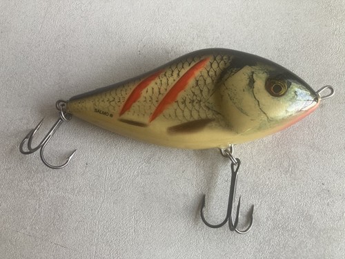 Poisson nageur salmo - poisson-nageur, slider