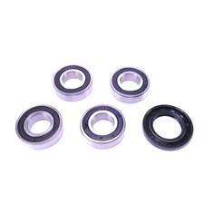 Kit Roulement de Roue Arrière