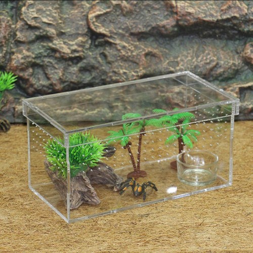 Arylic reptile amphibian - arylic, &